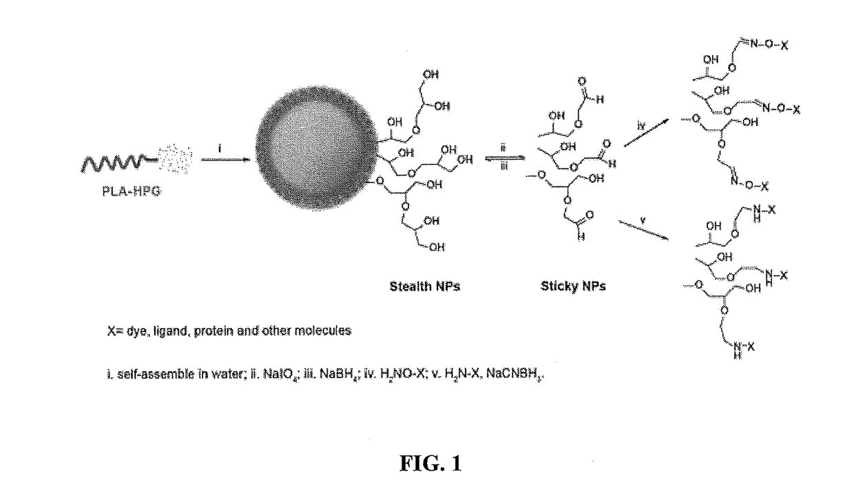 Hyperbranched polyglycerol-coated particles and methods of making and using thereof