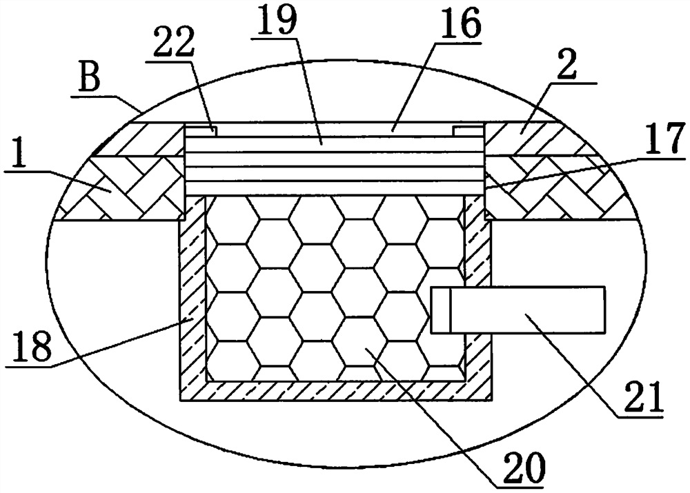 Gas disinfection device for preventing infection