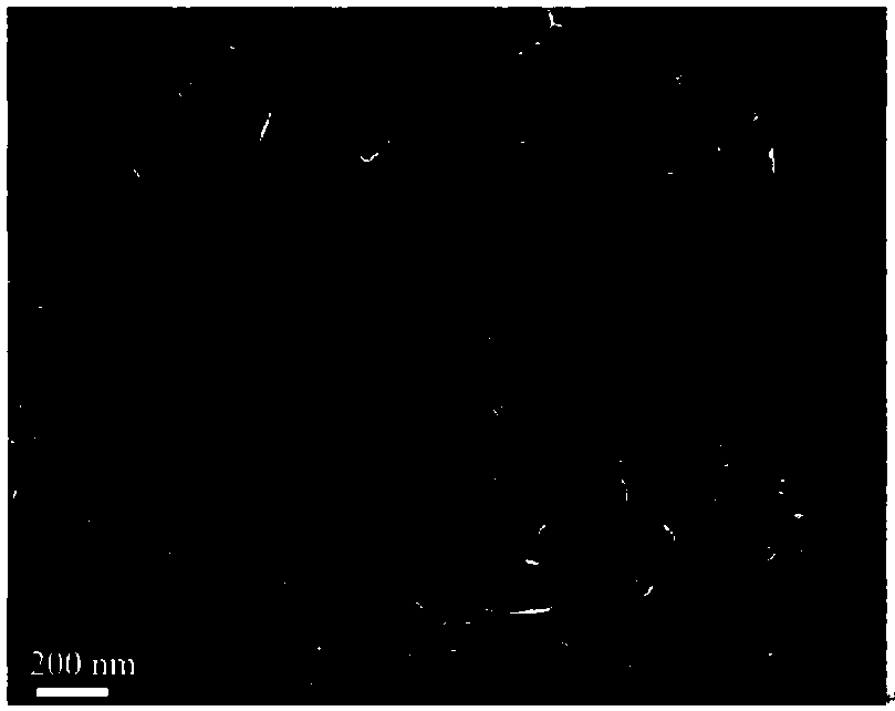 High nitrogen doped graphene and fullerene-like molybdenum selenide hollow-ball nanocomposite and preparation method thereof