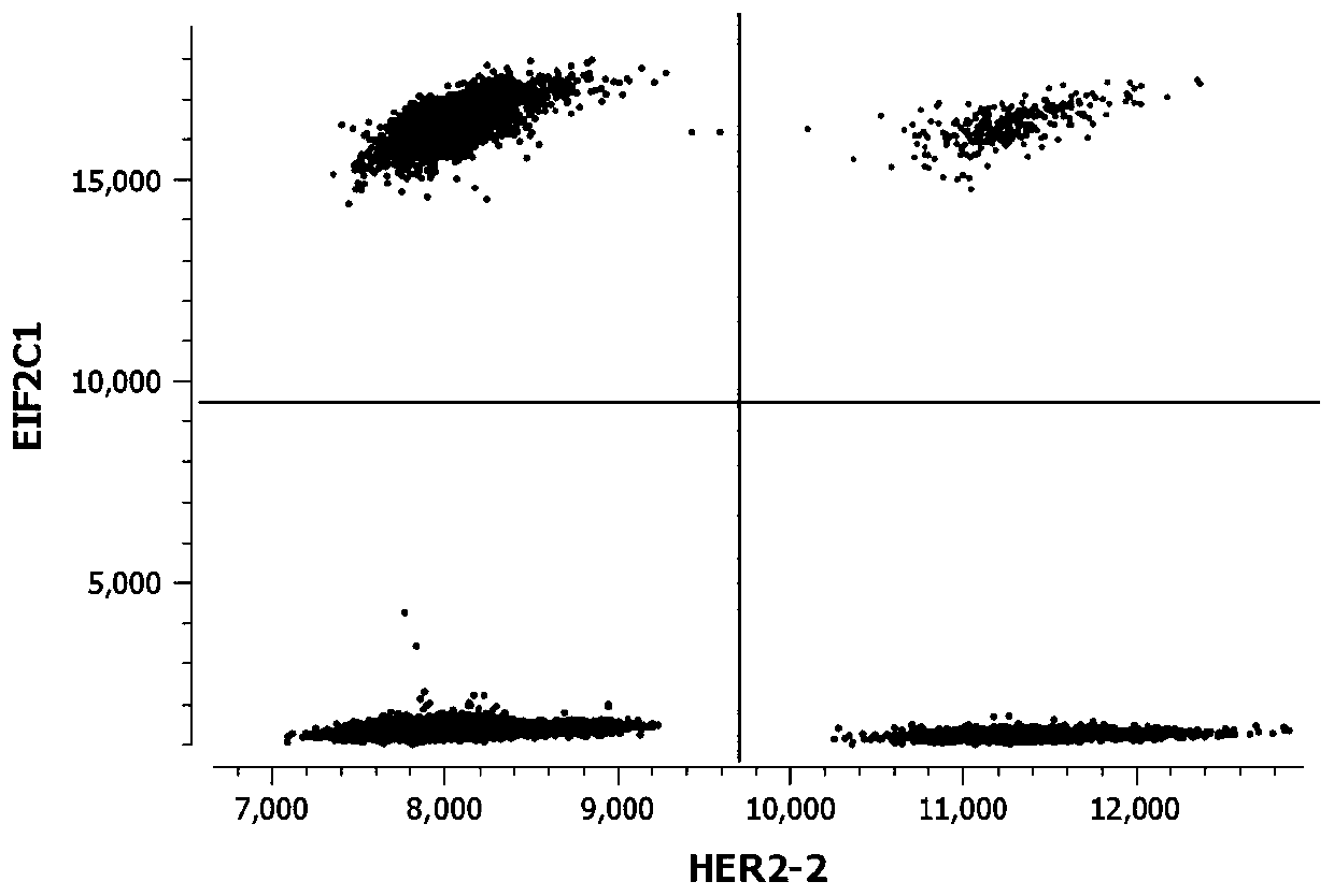 A kit and method for detecting her-2 gene copy number variation based on digital PCR technology