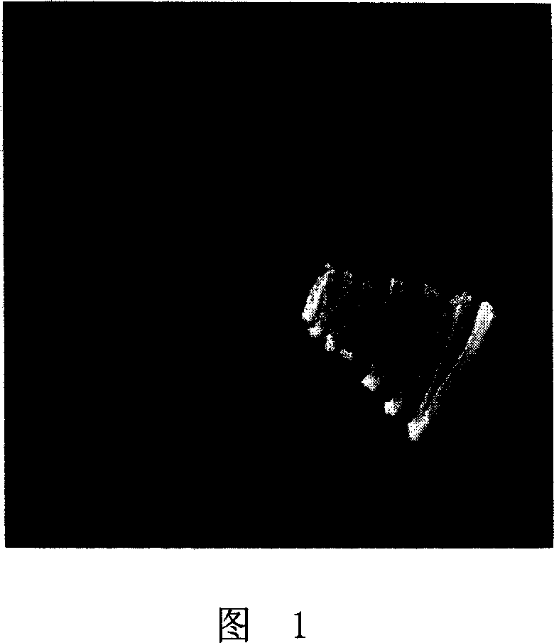 Method for increasing rice resistance to stunt virus