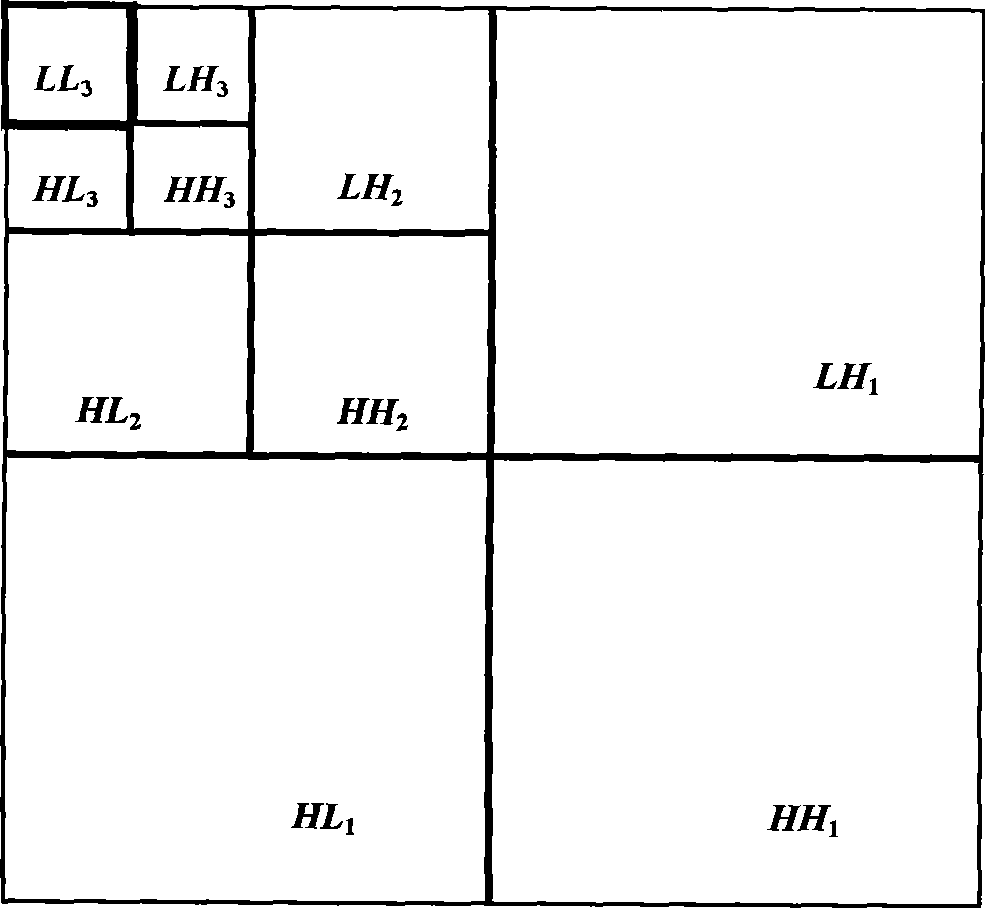 Digital watermark imbedding and detecting method and device