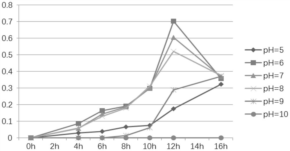 Bacillus and application thereof in preventing and treating plant diseases