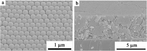 Three-dimensional inverse opal polymer photonic crystal material and preparation method and application thereof