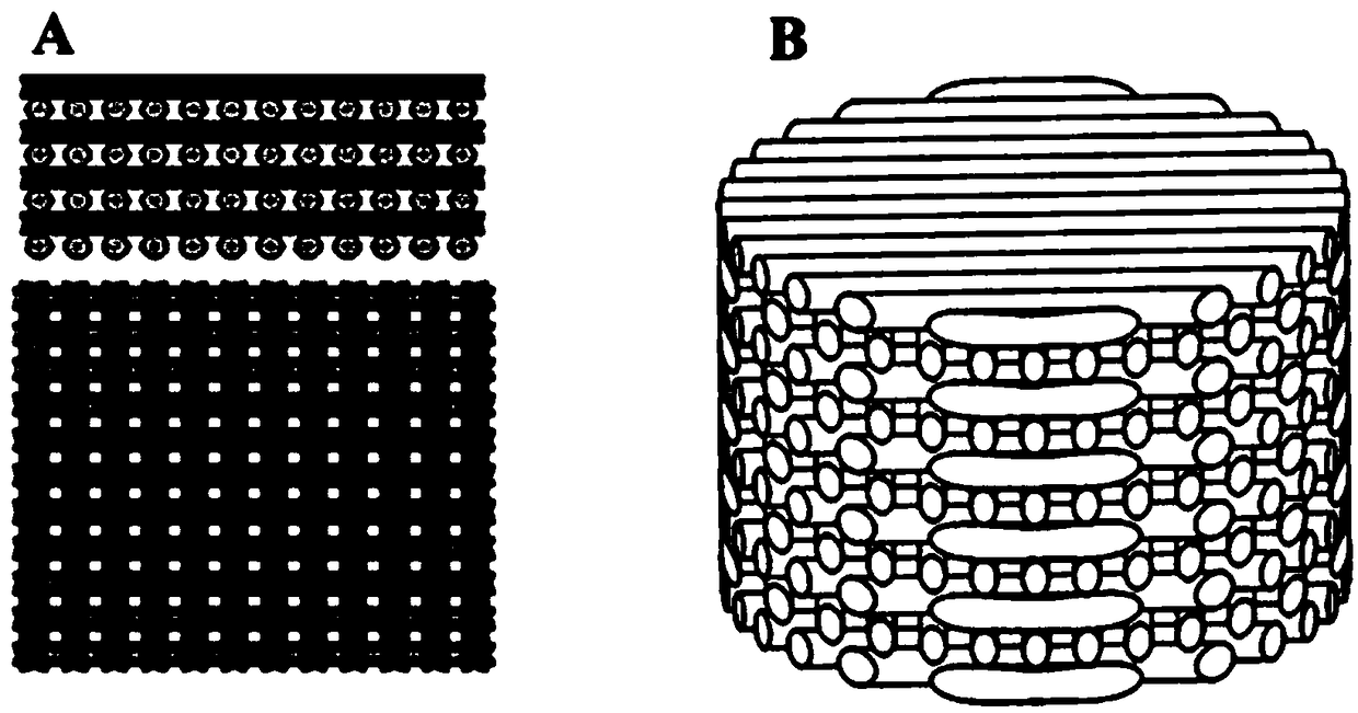 3D printed PCL-PDA-lithium ion bone repair tissue engineering scaffold and preparation method thereof