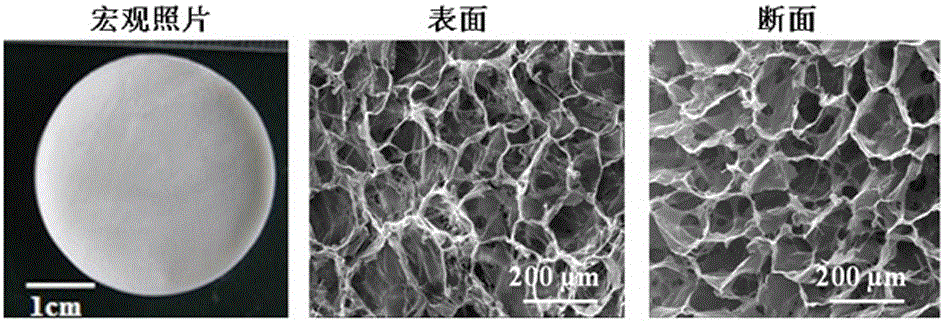 Polyurethane-based cellular material compounding vessel growth promotion factors and preparation method of polyurethane-based cellular material