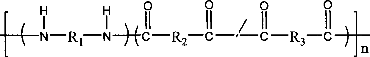 Transparent co-polyamide and preparation thereof