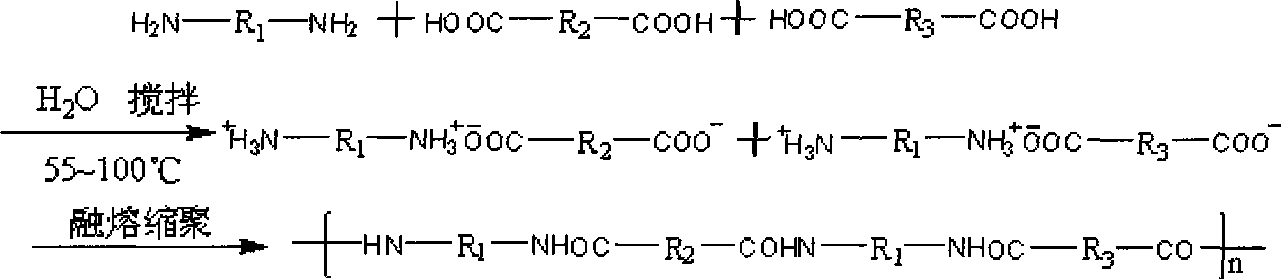 Transparent co-polyamide and preparation thereof