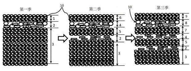 Triple cropping late rice ecological ditch transplanting cultivating method based on double cropping rice