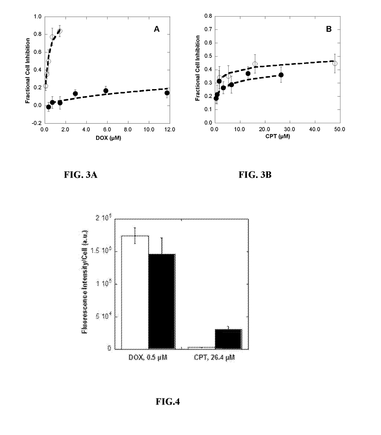 Polymer-drug conjugates for combination anticancer therapy