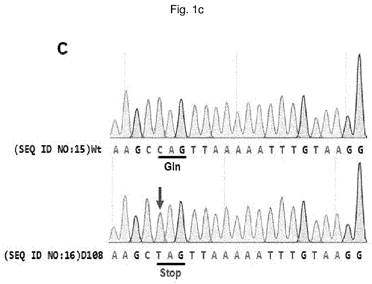 Composition for base editing for animal embryo and base editing method