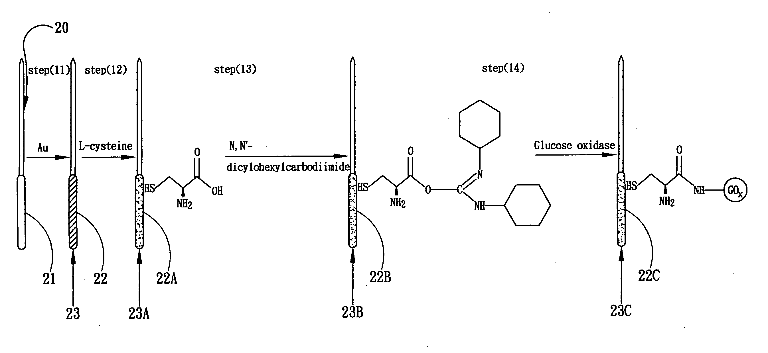 Enzyme electrode and method for producing the same