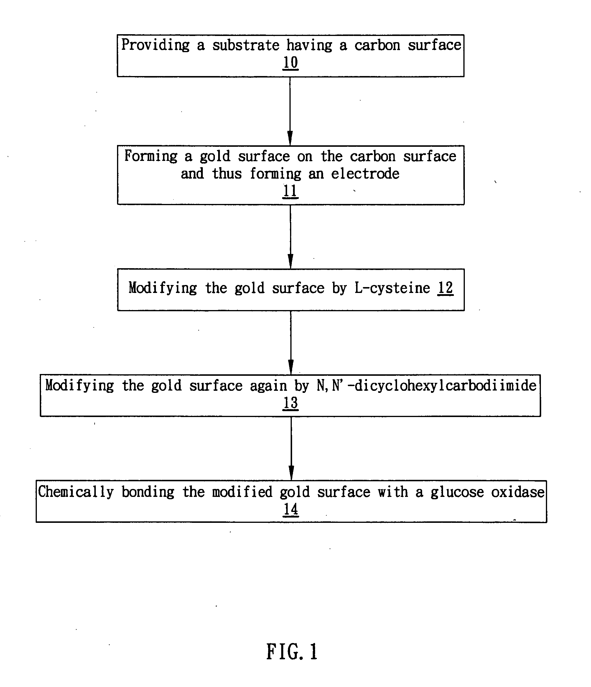 Enzyme electrode and method for producing the same