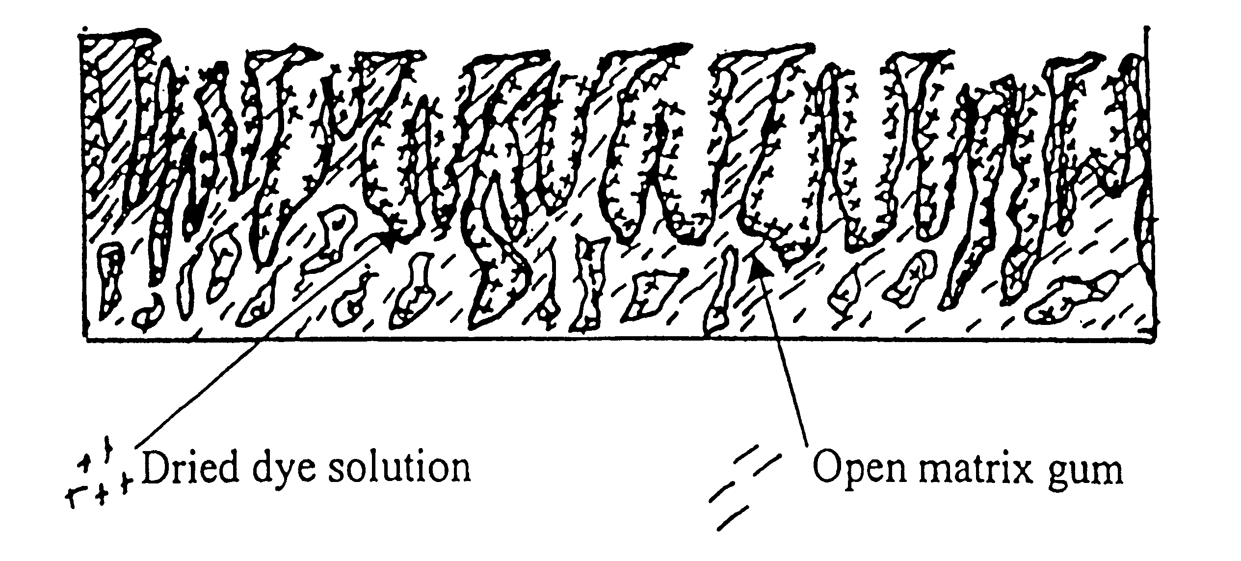 Chewing gums and method of manufacturing the same