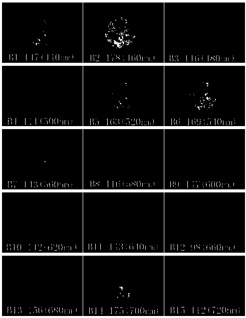 Minced meat mingling quick detection device based on multi-spectral imaging