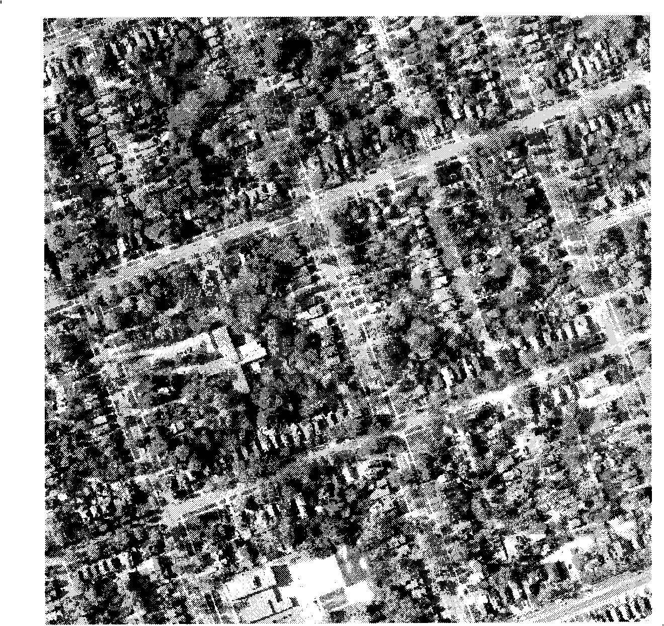 Remote sensing survey method and system for estimating tree coverage percentage of city