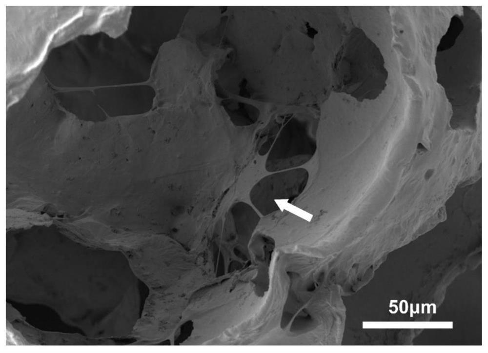 High-porosity polycaprolactone porous microsphere scaffold for bone tissue regeneration and preparation method thereof