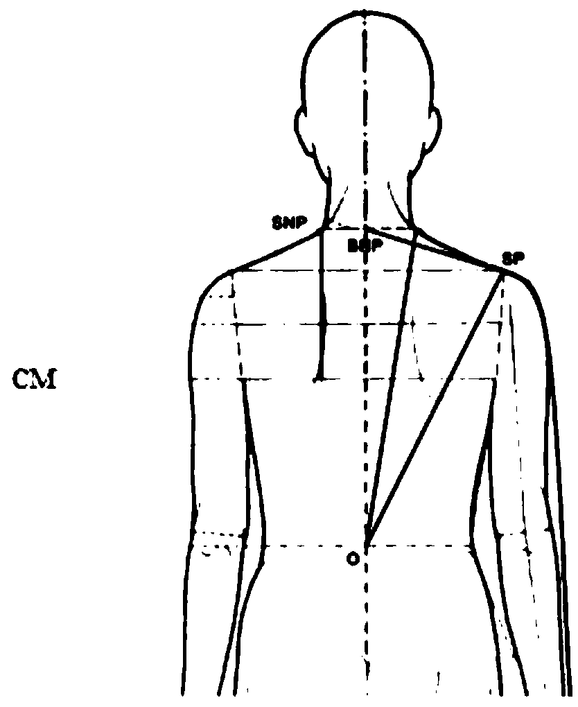 Vertical positioning device for facade and three-point-one-side human body balance measurement method for clothing