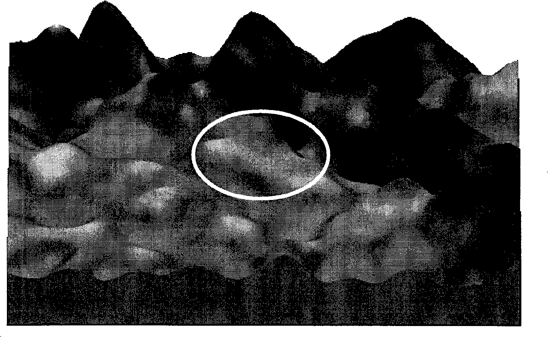 Physical geography exploration gravity and magnetic data processing method