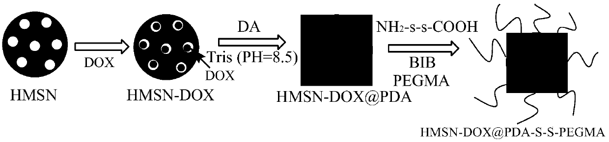 Dual-response hollow mesoporous silicon coated polydopamine grafted poly(ethylene glycol) methyl ether methacrylate medicine loaded microspheres and preparation method thereof