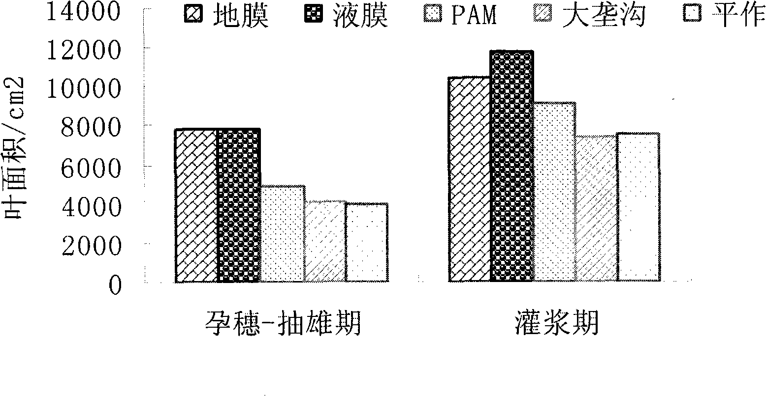 Degradable liquid mulch film and preparation method thereof