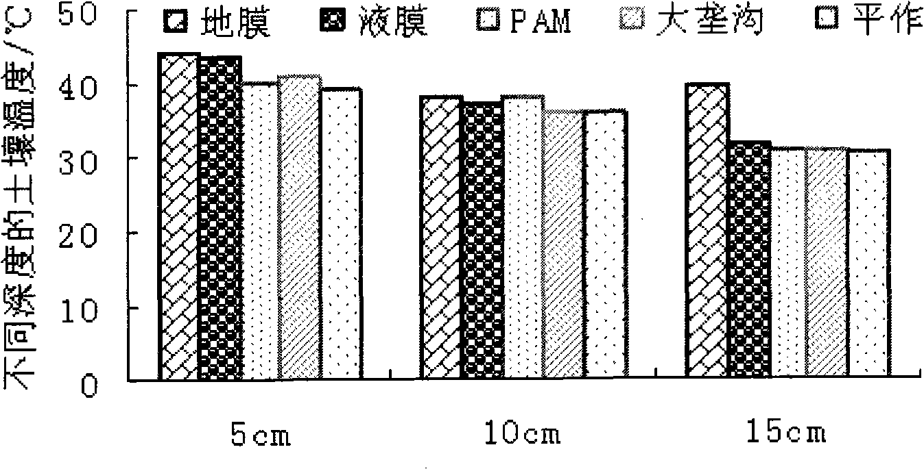 Degradable liquid mulch film and preparation method thereof