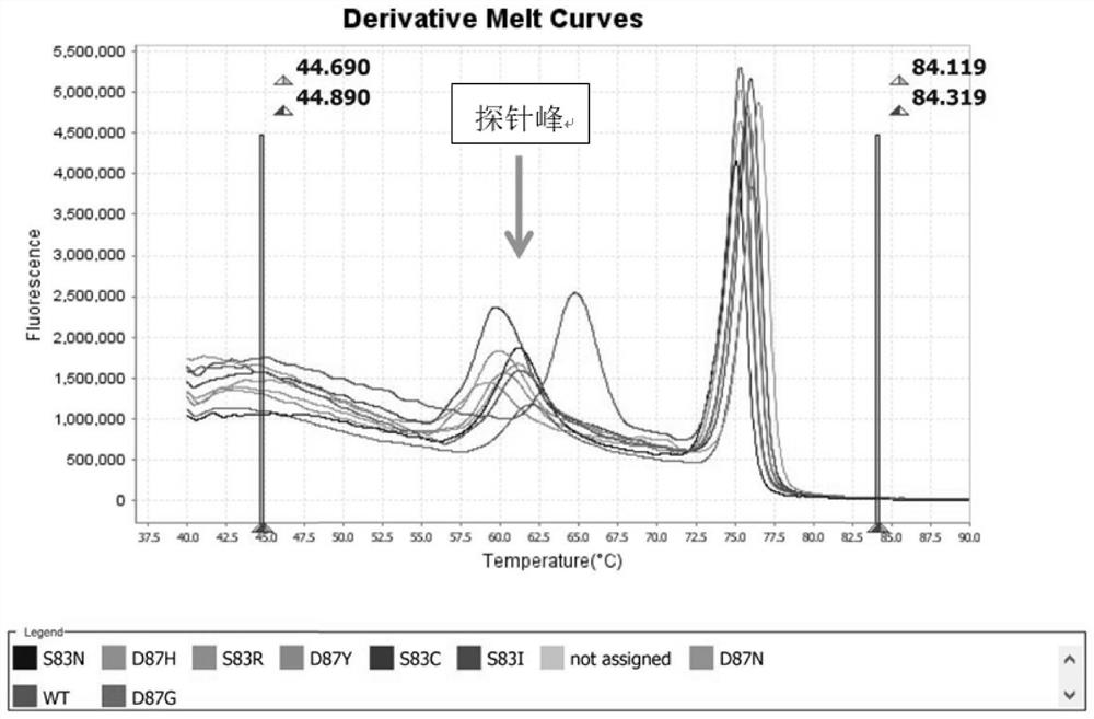 Mycoplasma genitalium parC gene mutation type detection method and kit