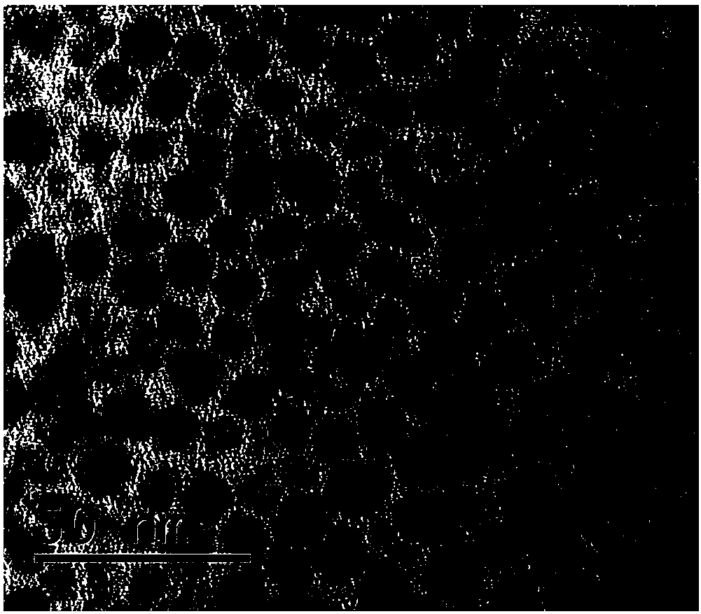 Perovskite quantum dots and synthesis method thereof