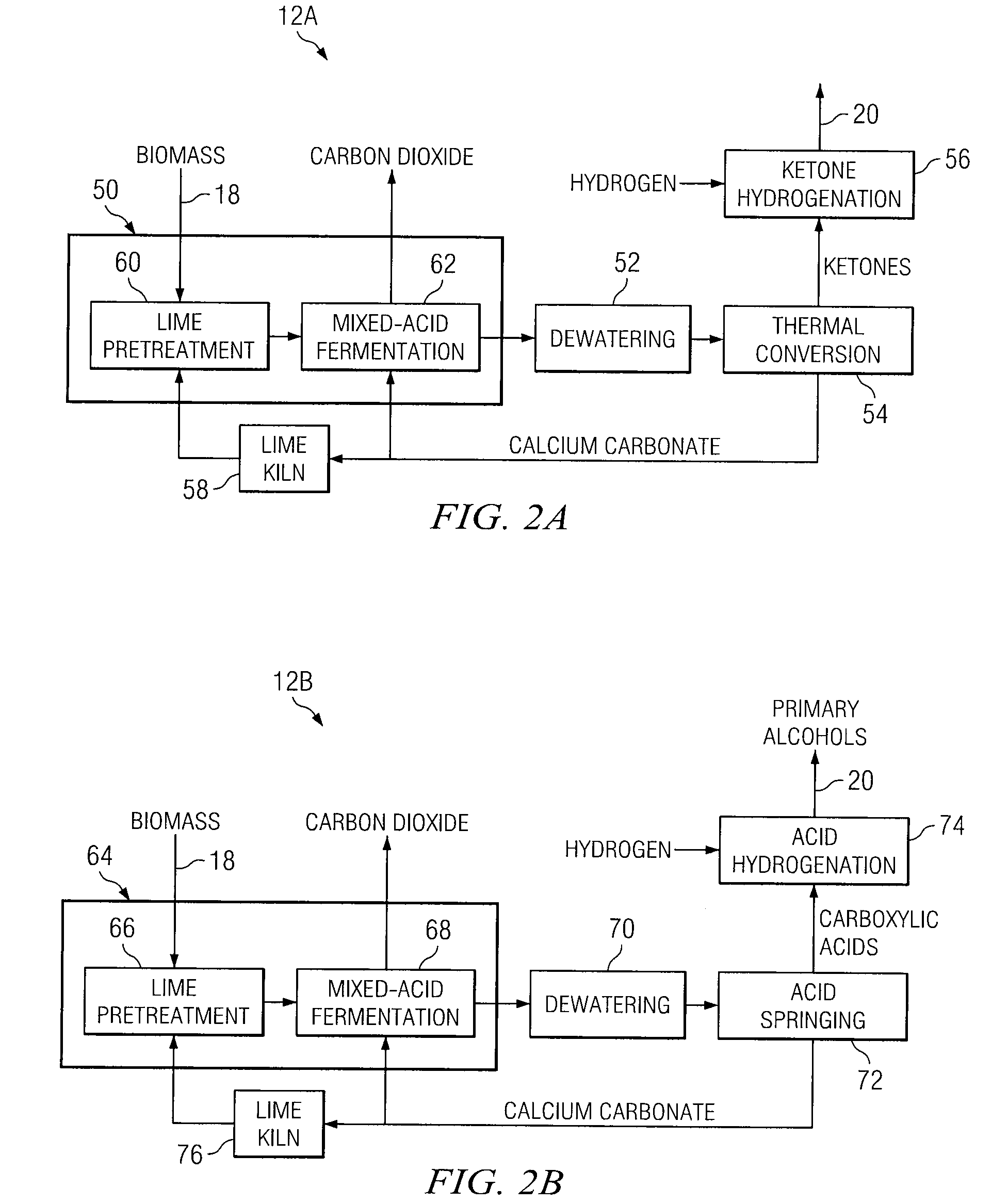 Biofuel Processing System