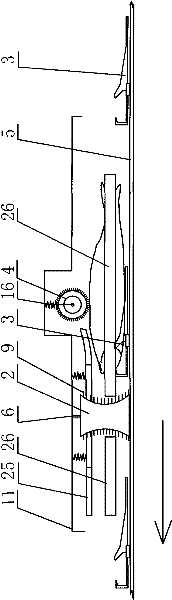 Descaling device