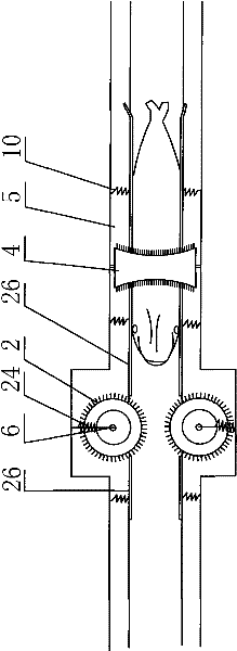 Descaling device