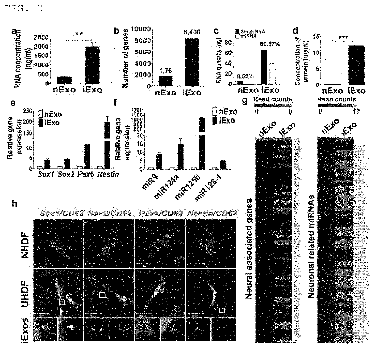 Reprosomes, as exosomes capable of inducing reprogramming of cells and preparation method thereof