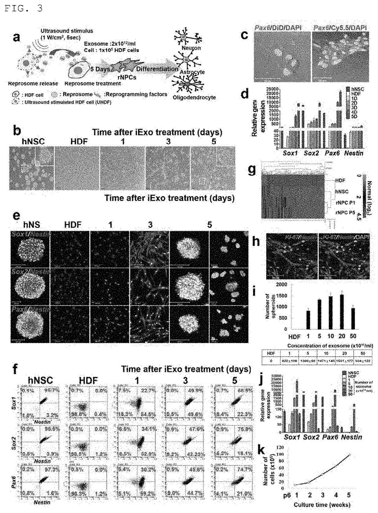 Reprosomes, as exosomes capable of inducing reprogramming of cells and preparation method thereof