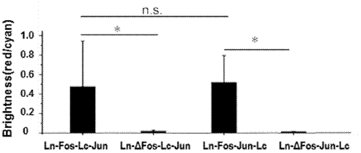 Protein interaction detection method with low false positive rate