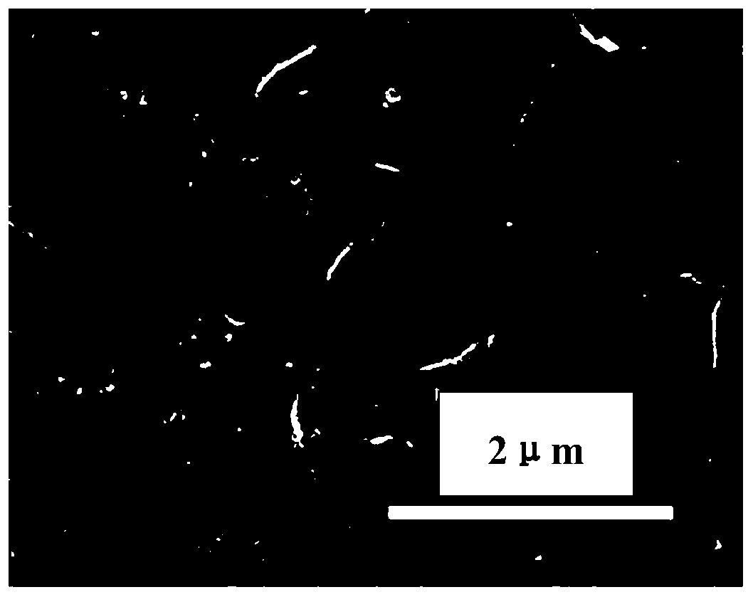 Protective film material for asphalt pavement during road construction and road construction method