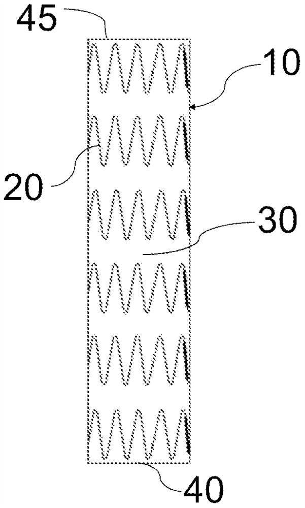 blood catheter with stent