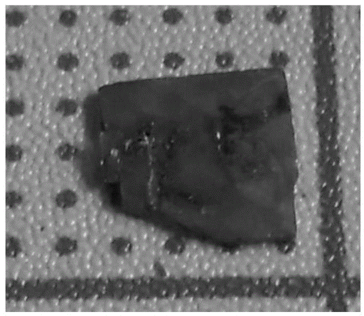 Non-linear optical device with C18H16N2O2 single crystal and preparation method of non-linear optical device