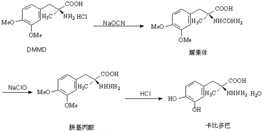 Method for synthesizing Carbidopa