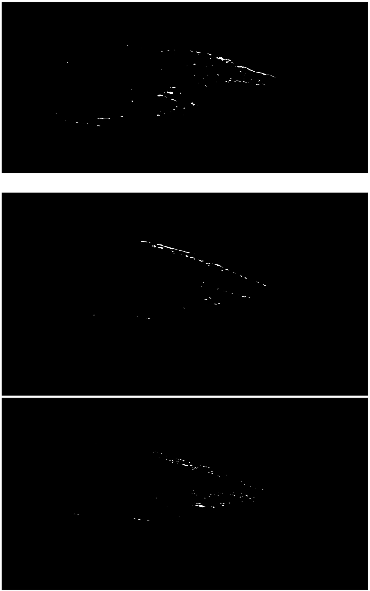 Method for drawing morphology of fish eggs and larvae