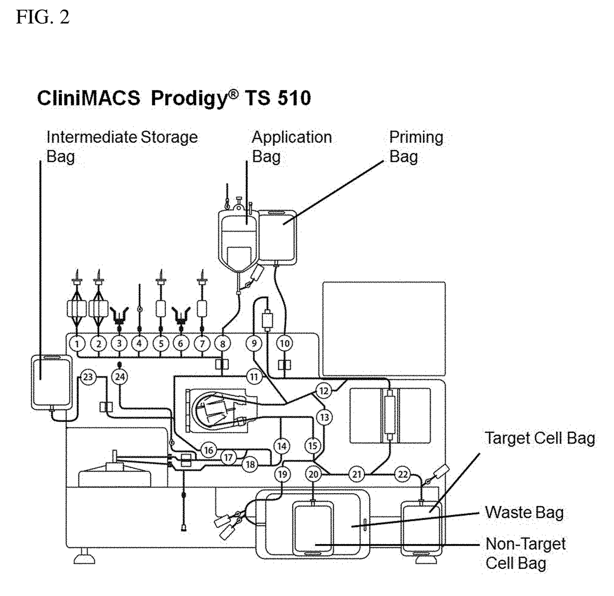 Method for generation of a cell composition of mesencephalic dopaminergic progenitor cells