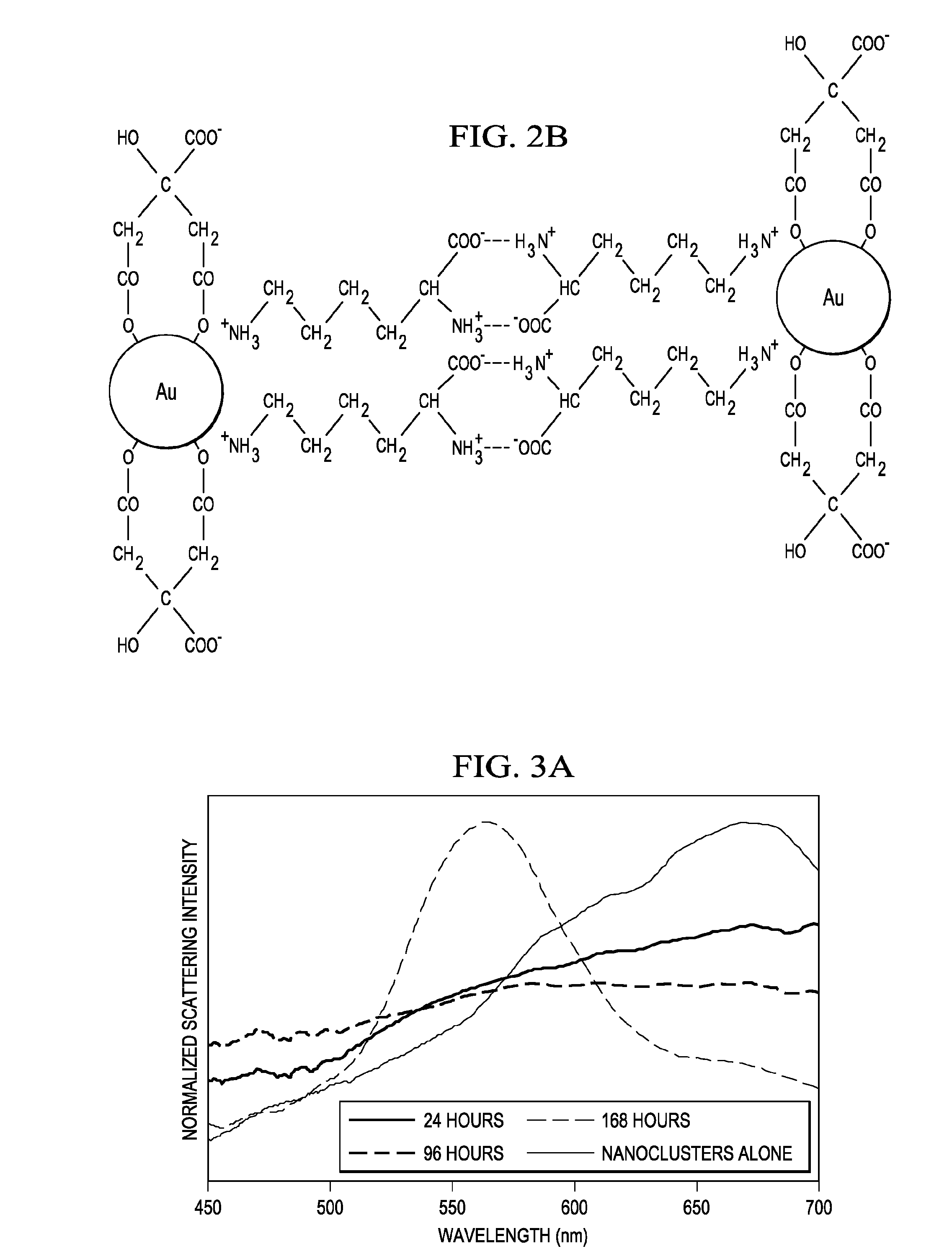 Medical and Imaging Nanoclusters