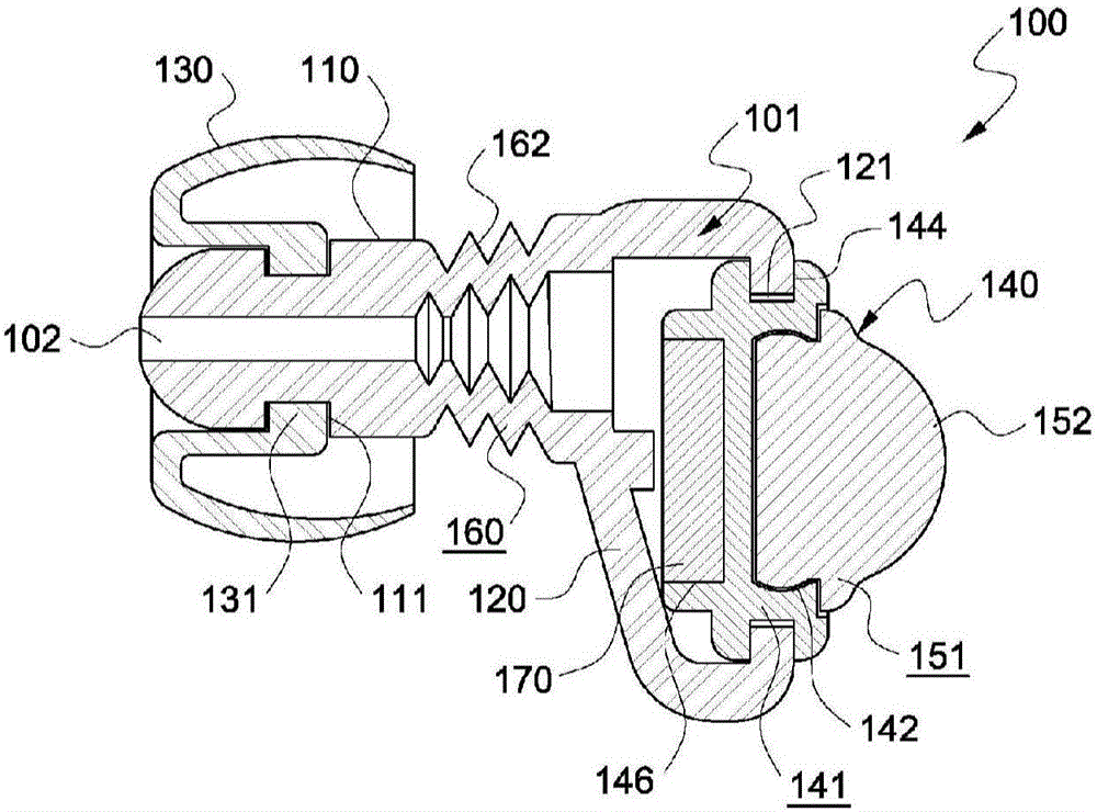 Earplugs and earplug set having same