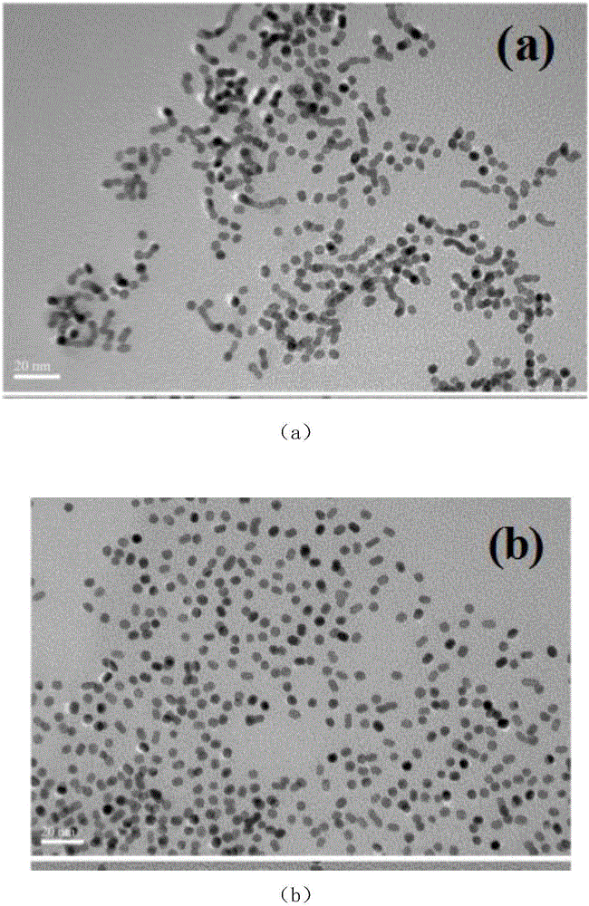 Photocatalyst for producing hydrogen through photocatalytic water splitting and preparation method thereof