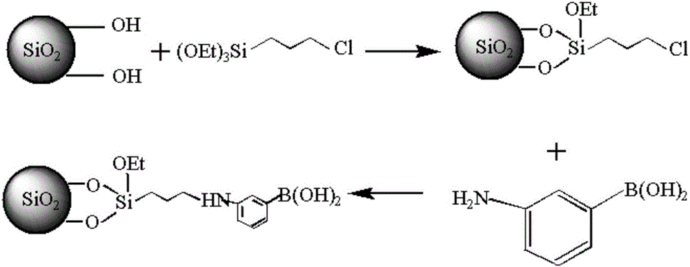 Preparation method of benzene boric acidification affinity chromatography stationary phase for chitosan oligosaccharide separation