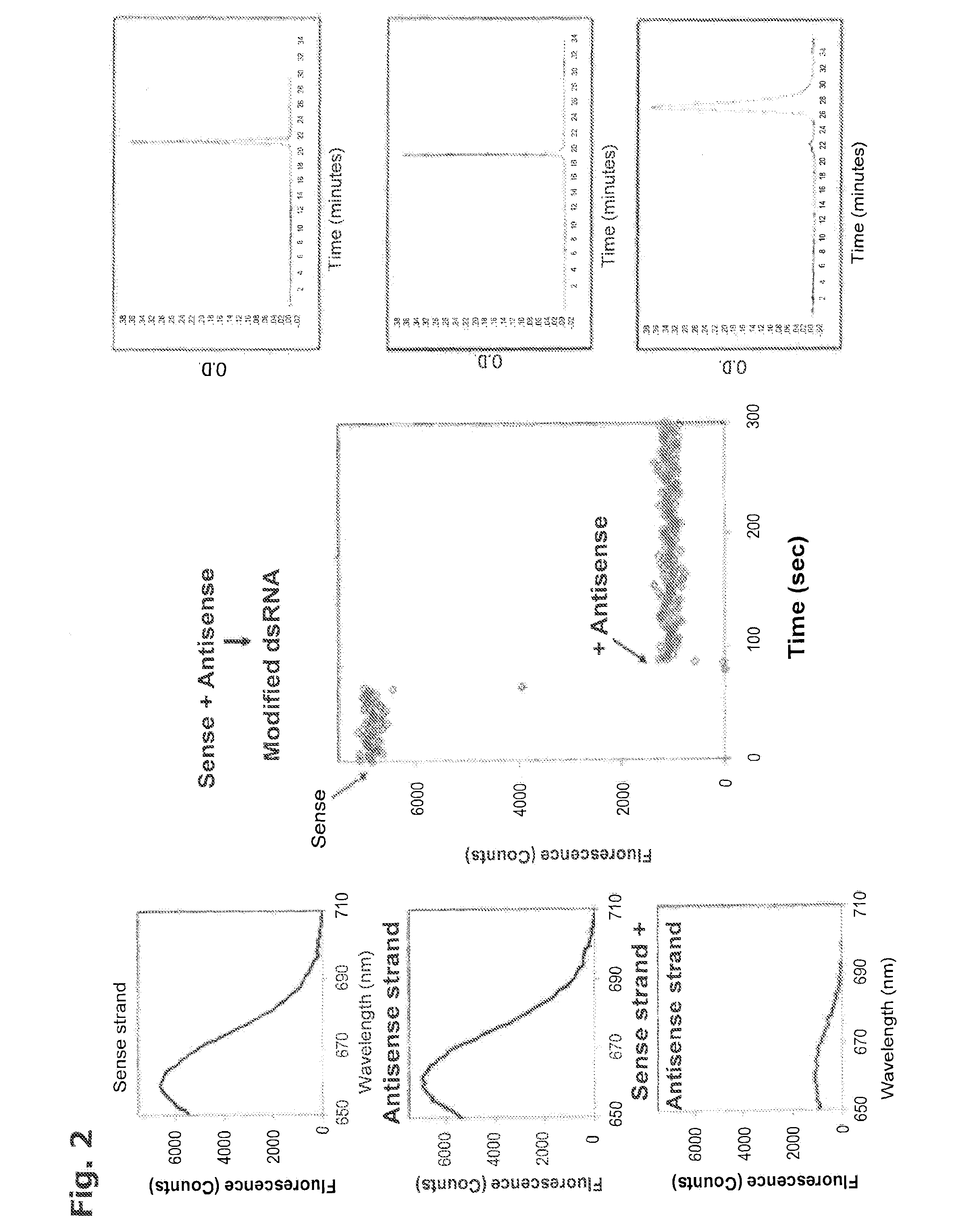 In Vivo Delivery of Oligonucleotides