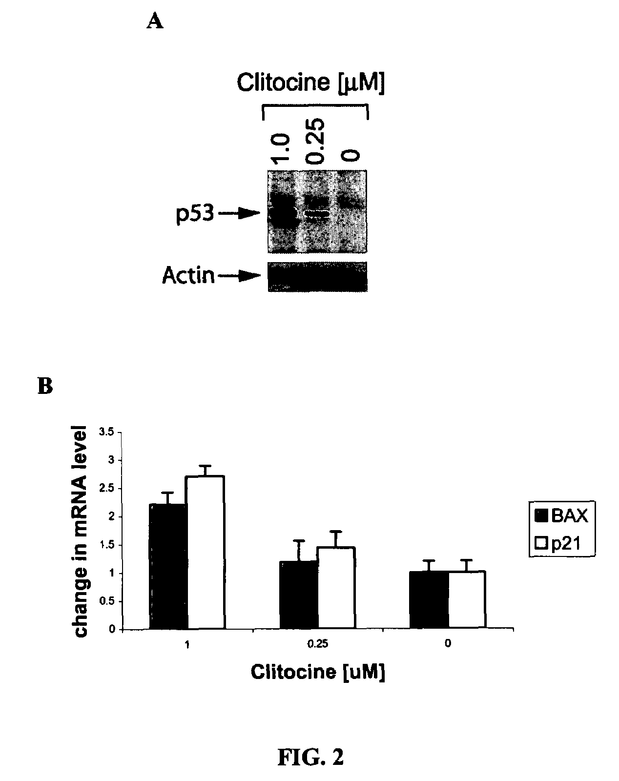 Nucleoside compounds and their use for treating cancer and diseases associated with somatic mutations