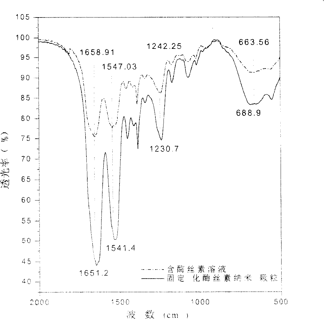 Silk nano granular of immobilized enzyme, and prepn. process thereof