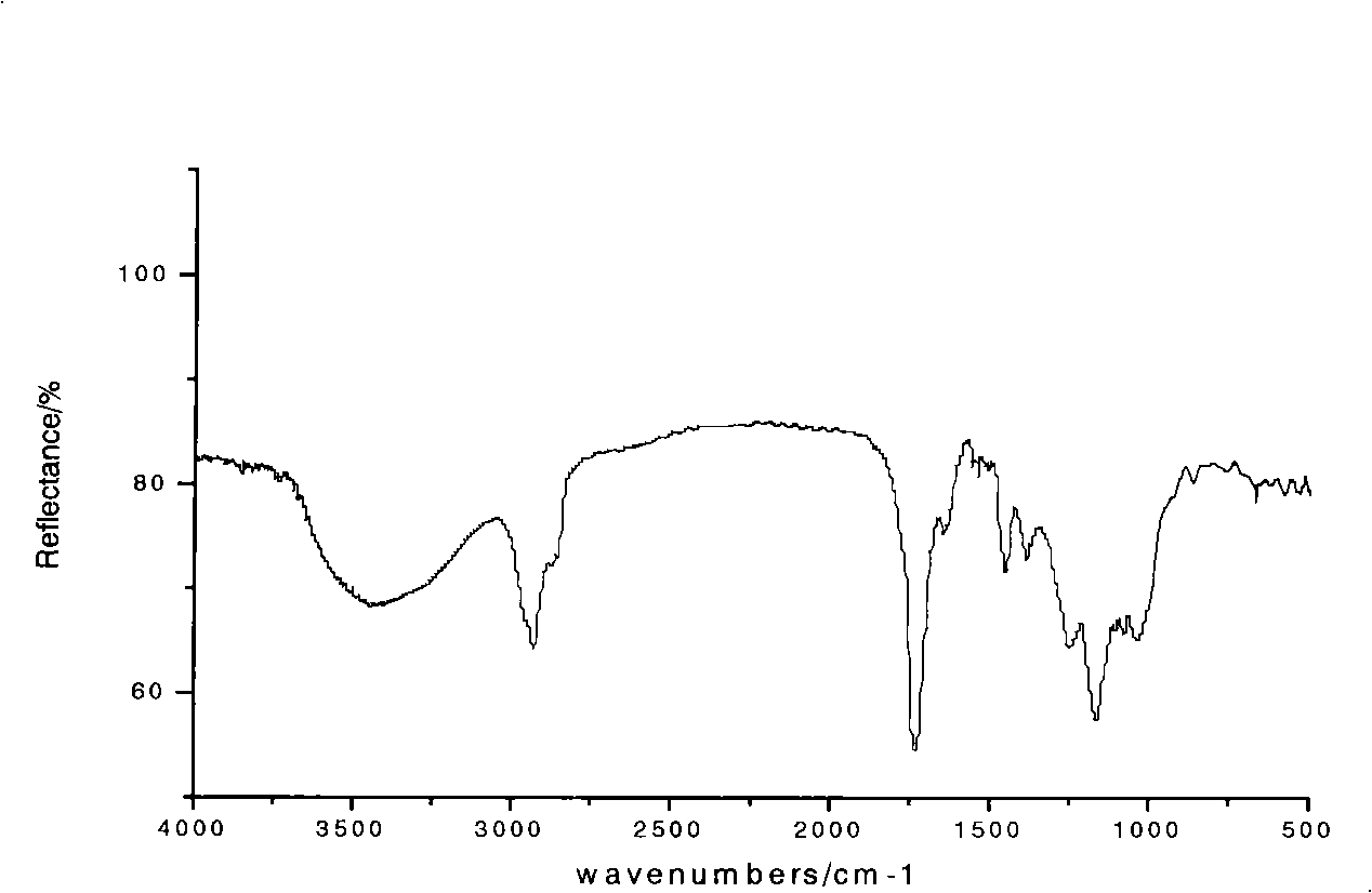 Colophony based functional polymer immobilization diastase and preparation method thereof