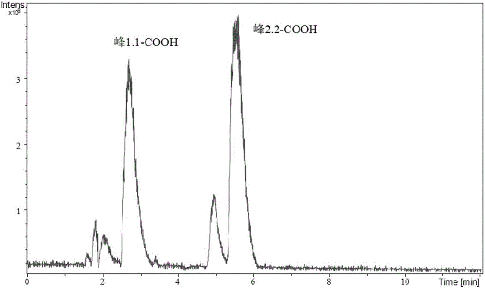 Method for measuring organic acid content based on precolumn derivatization LC-MS