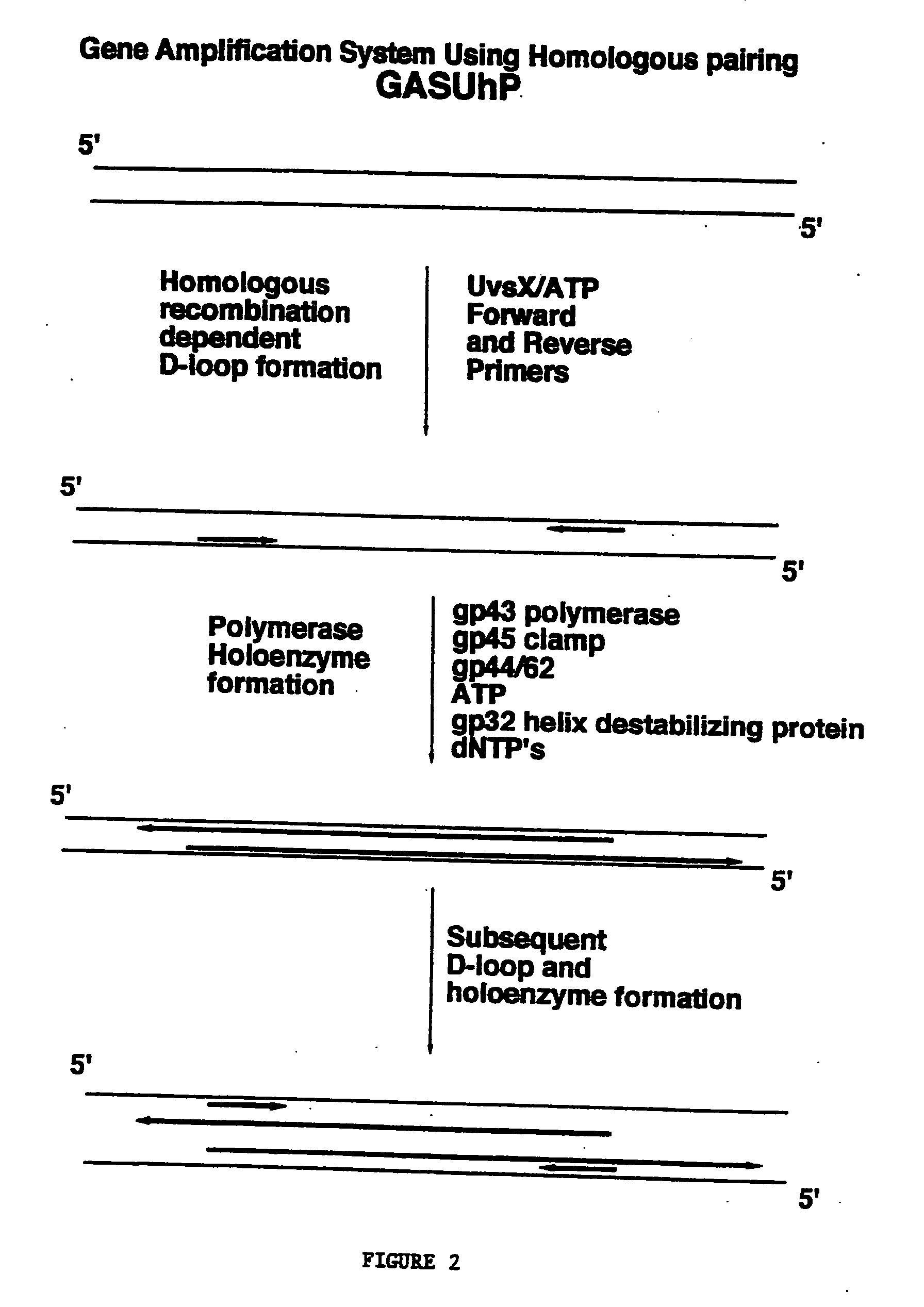 Methods for nucleic acid manipulation